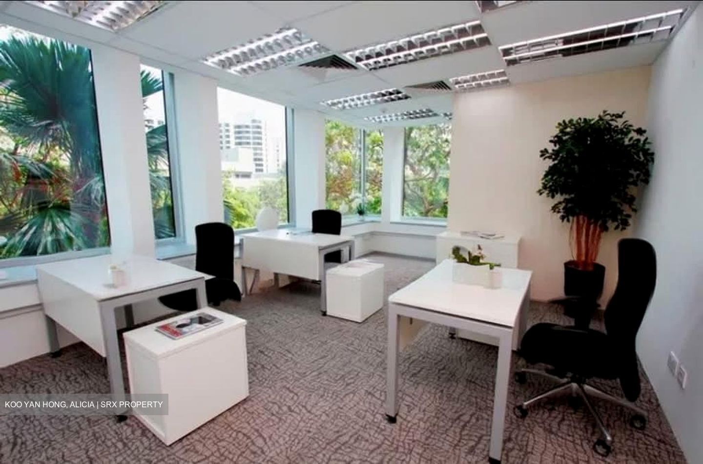 Thong Teck Building (D9), Office #599081321